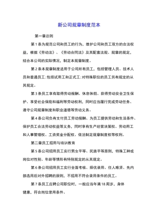 新公司规章制度范本