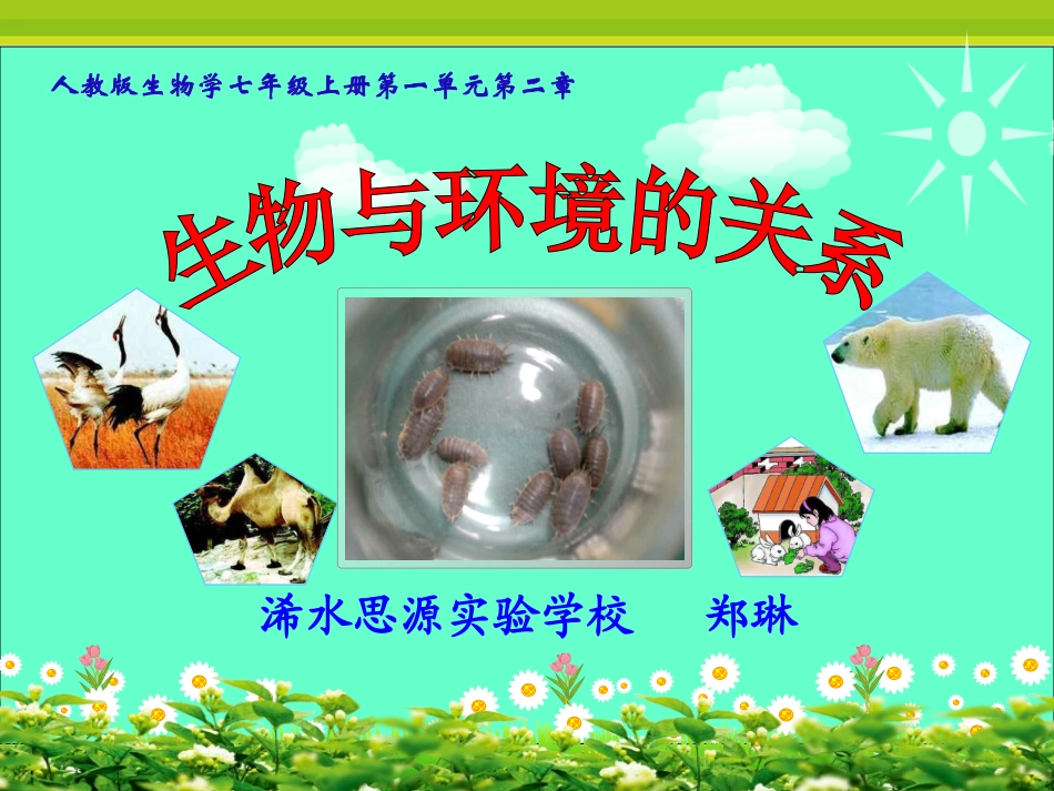 “环境对生物的影响”的生物课件郑琳_第1页