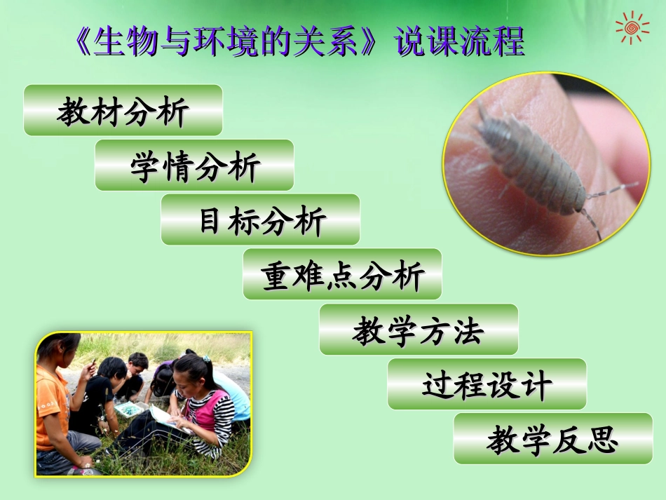 “环境对生物的影响”的生物课件郑琳_第2页