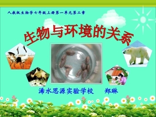 “环境对生物的影响”的生物课件郑琳