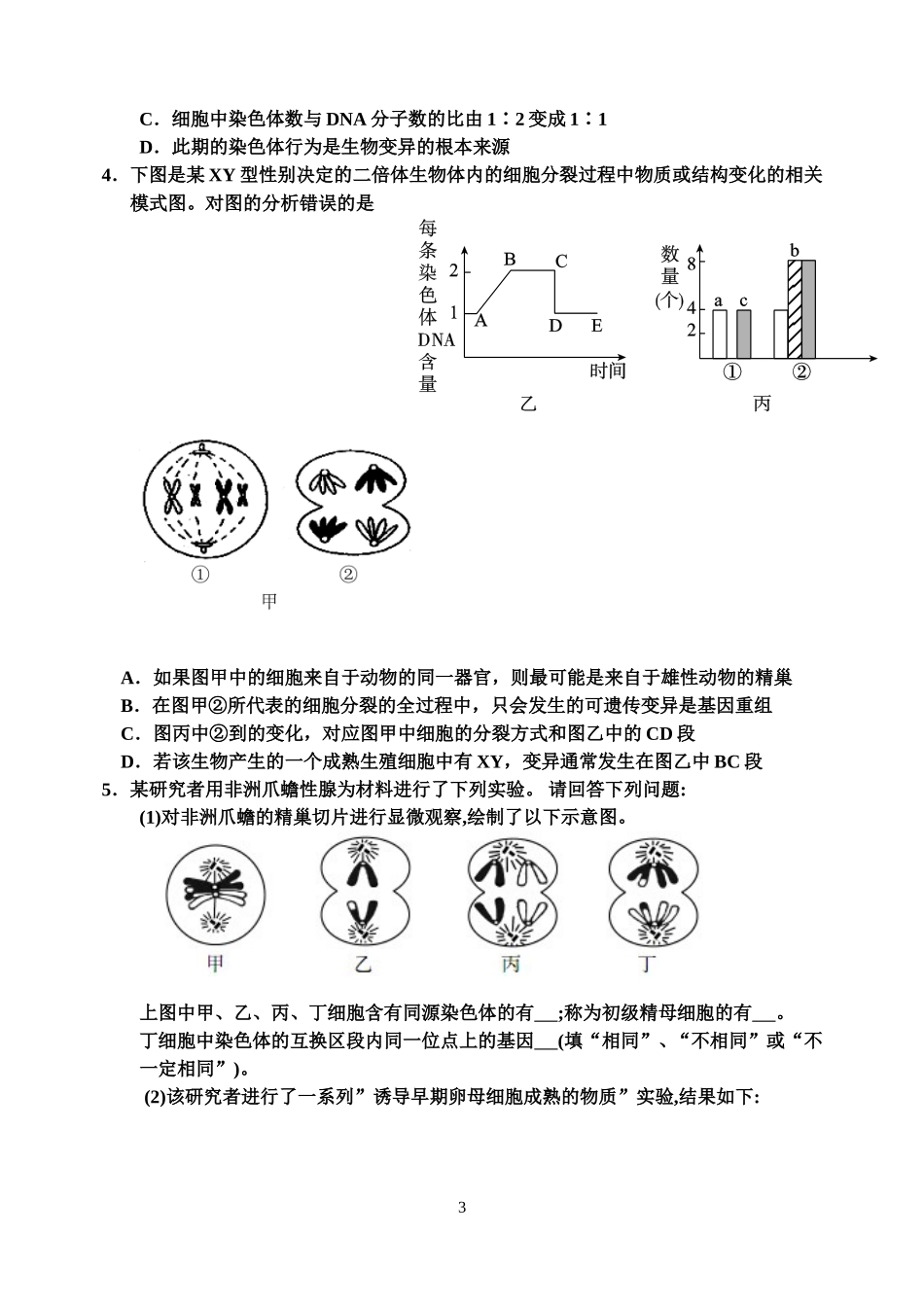 遗传的细胞基础_第3页
