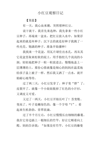 小红豆观察日记