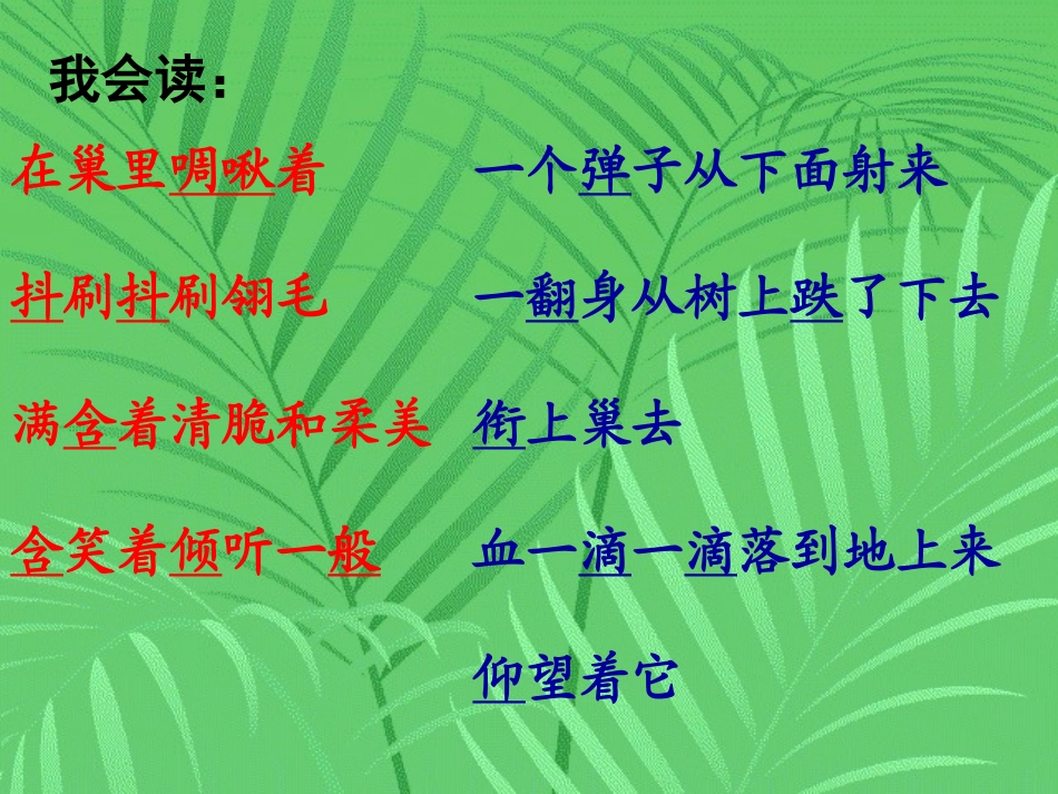 《一只小鸟》课件[1]_第3页