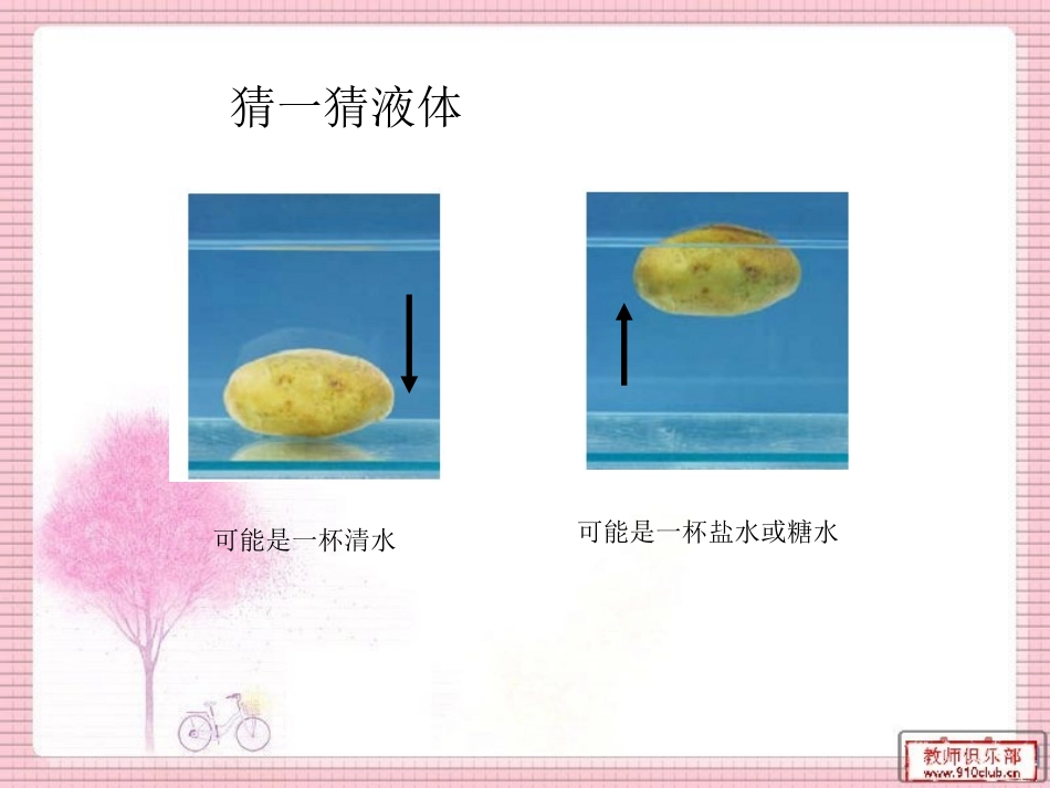 探索马铃薯沉浮的原因_第2页