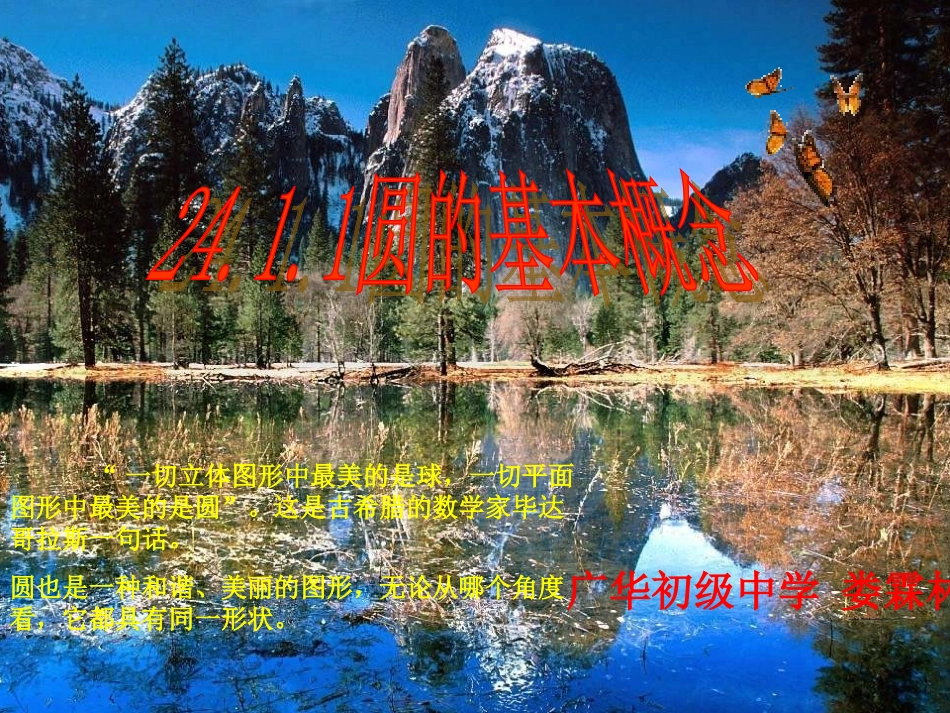圆的概念241_第1页