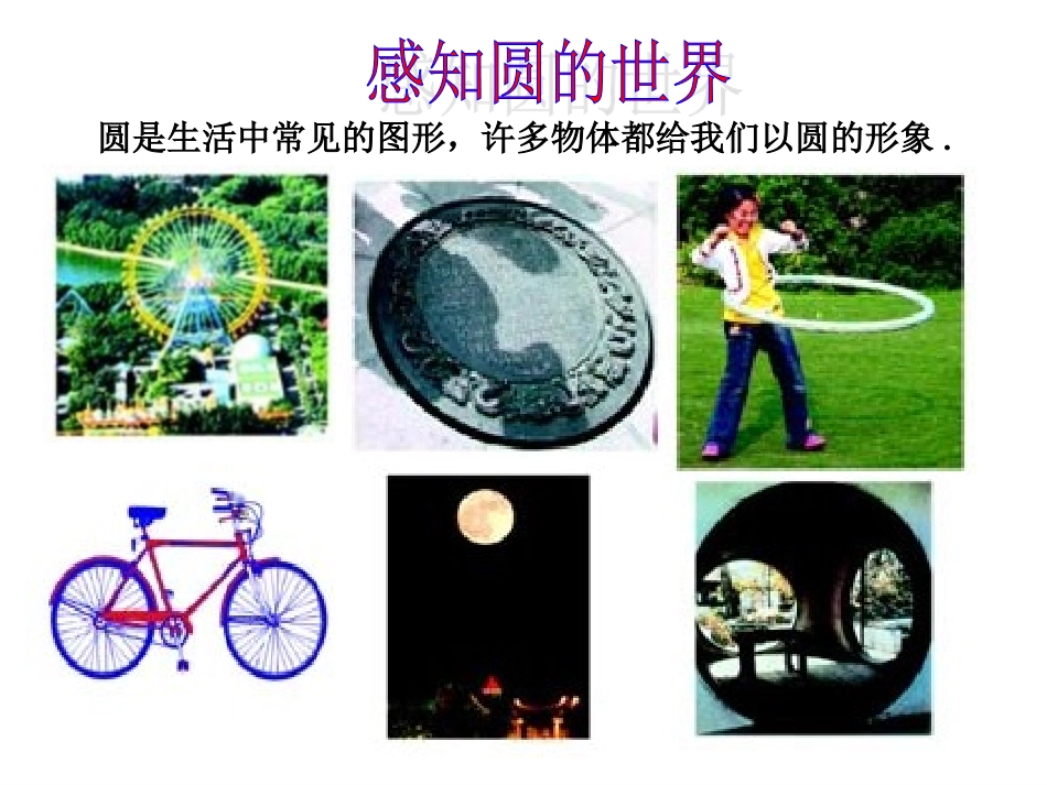 圆的概念241_第3页
