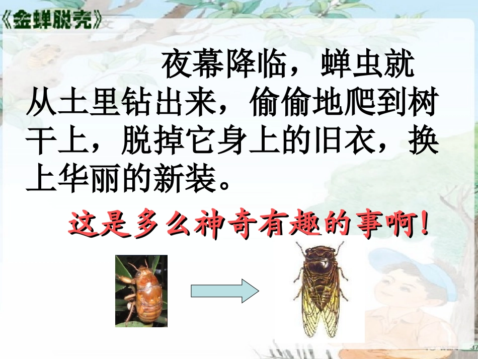 金蝉脱壳课件_第2页