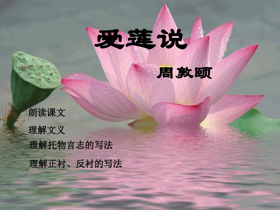 《爱莲说》教学课件。_第1页