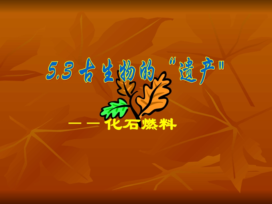 古生物的“遗产”—化石燃料_第1页