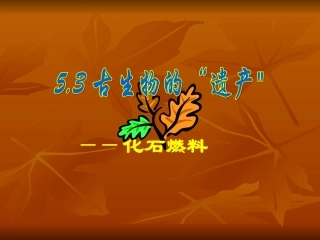 古生物的“遗产”—化石燃料