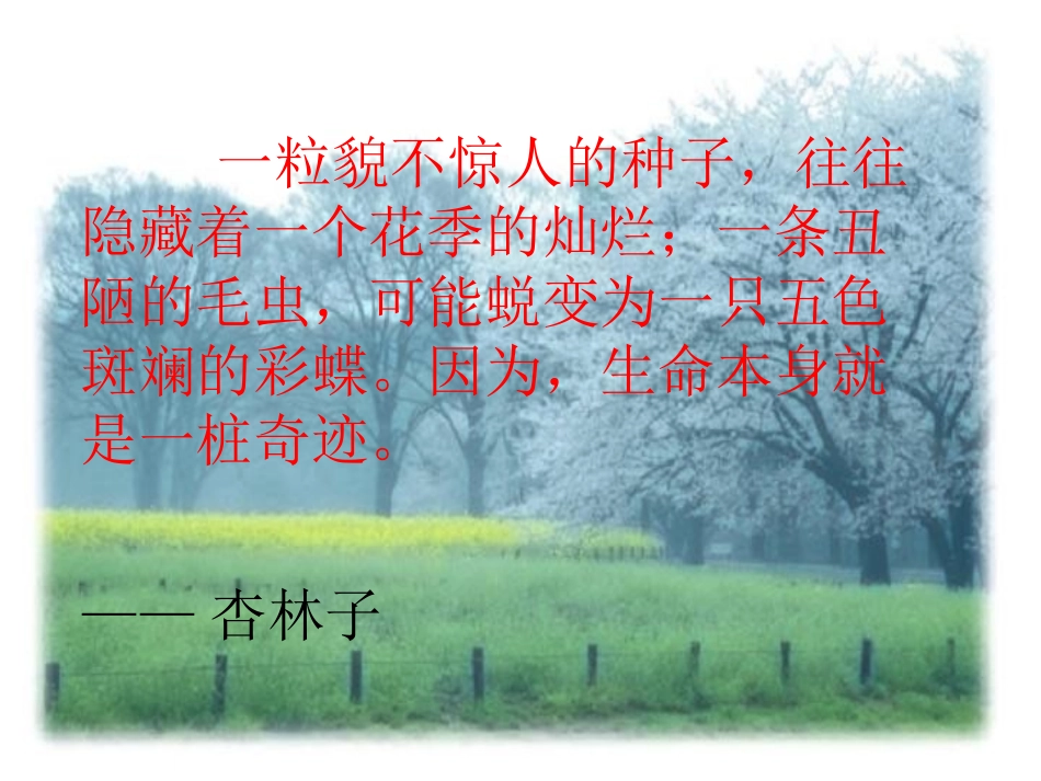 （人教新课标）四年级语文课件生命生命_第2页