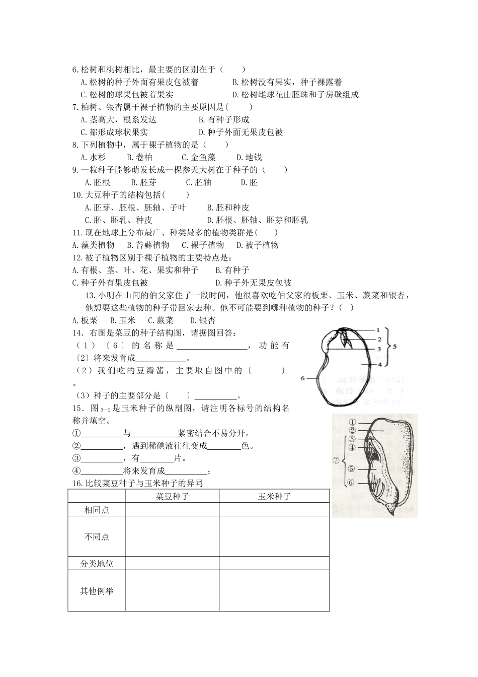 种子植物导学案_第2页