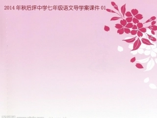 课件导学案样式