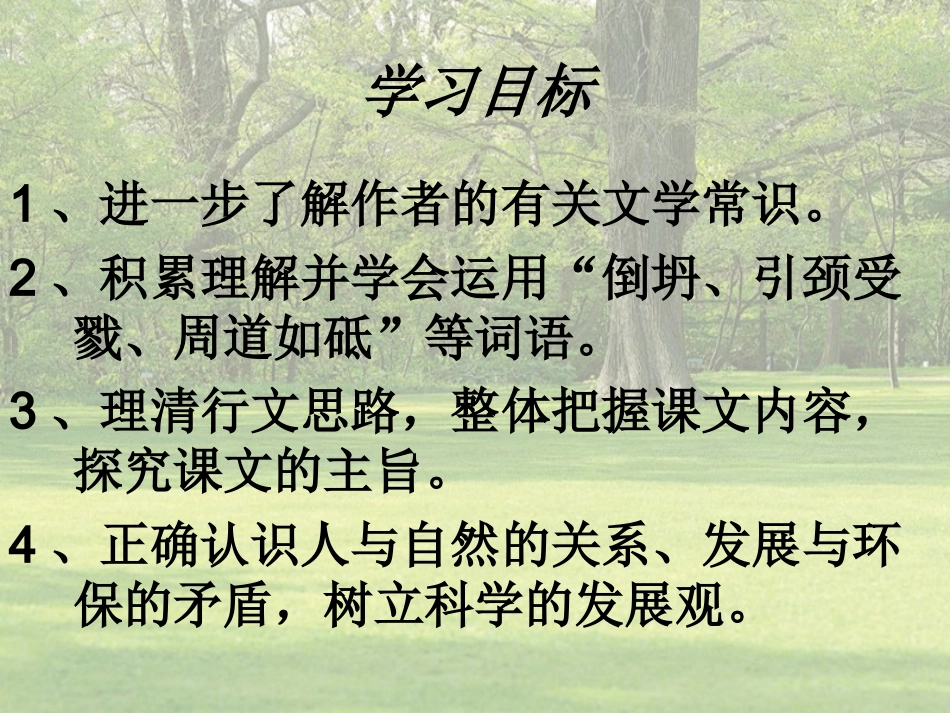 《那树》PPT_第2页