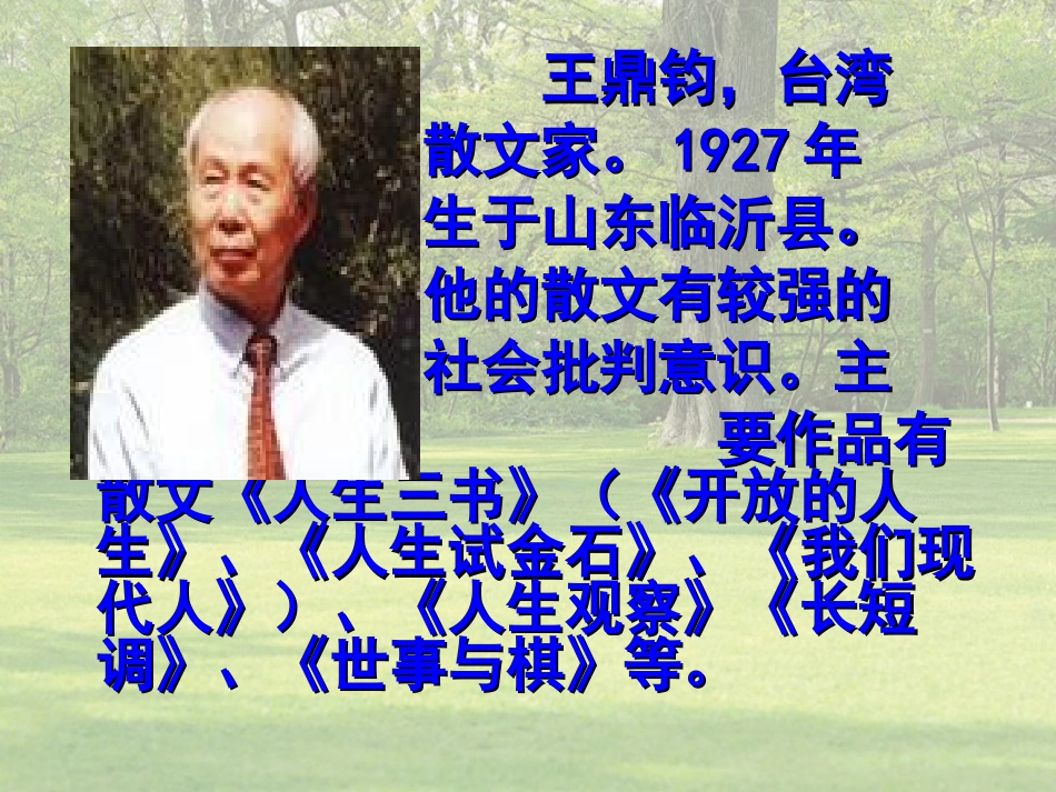 《那树》PPT_第3页