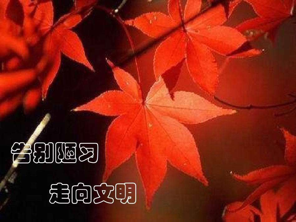 告别陋习，走向文明_第1页