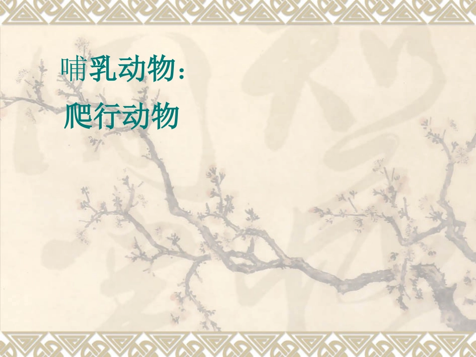 地面上的动物_第2页