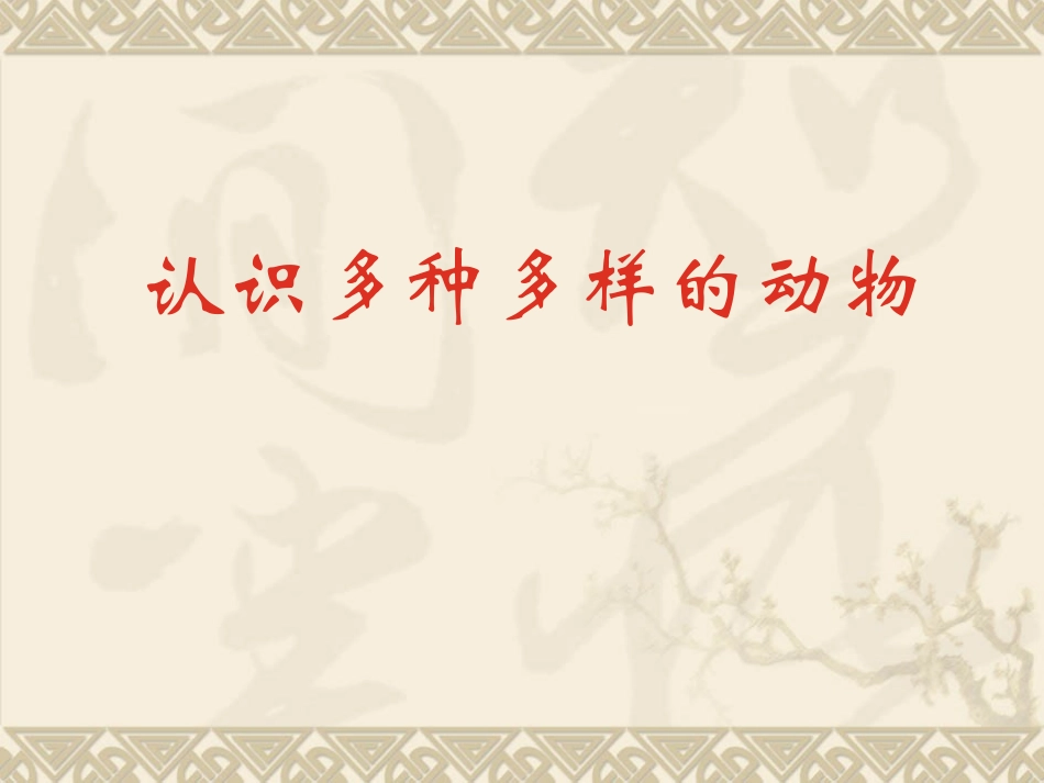 地面上的动物_第3页