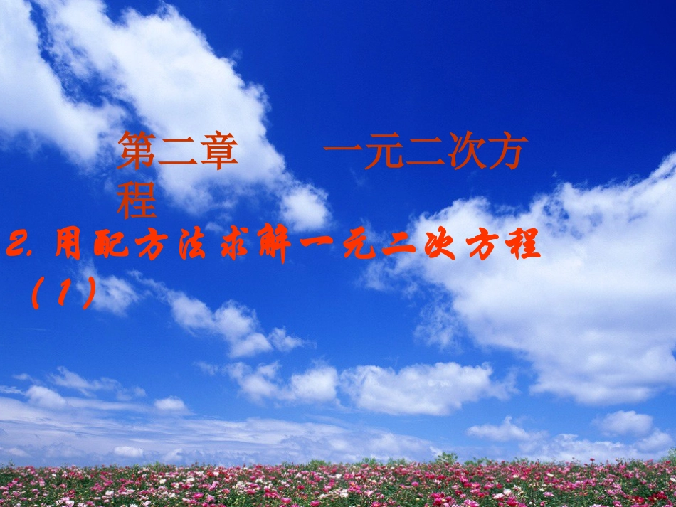 配方法解一元二次方程1_第1页