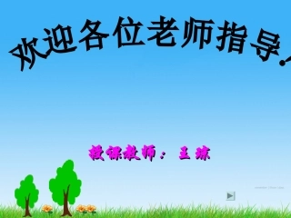 高效课堂优质课