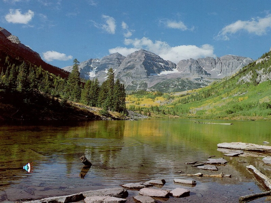 五彩缤纷的植物世界_第1页