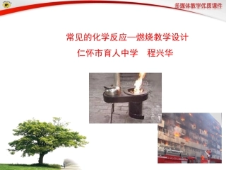 常见的化学反应——燃烧课件