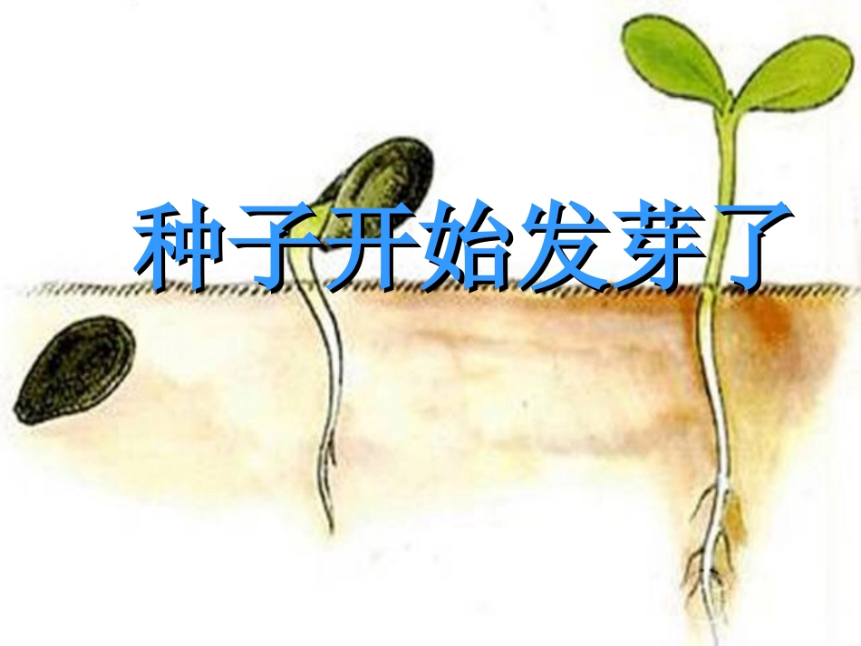 人音版音乐三年级下册《春天举行会》_第3页