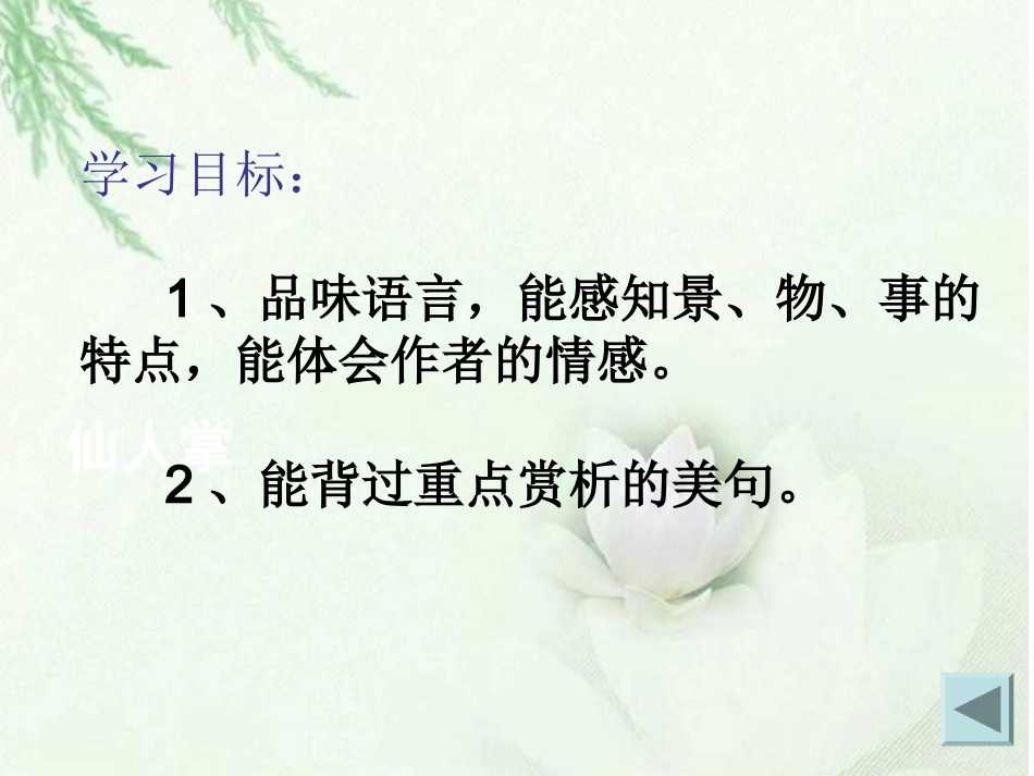 《雨蒙蒙，情深深》_第2页