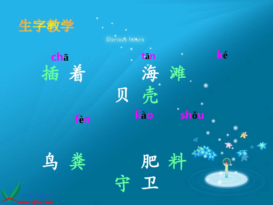 (语文S版)二年级语文下册课件_可爱的西沙群岛_1_第3页