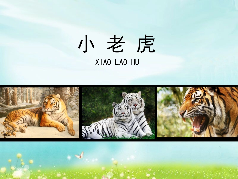 《小老虎》参考课件_第1页