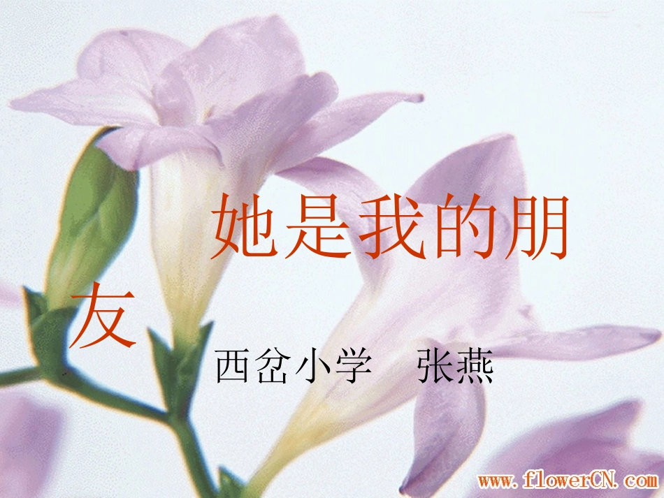 她是我的朋友PPT课件_第1页