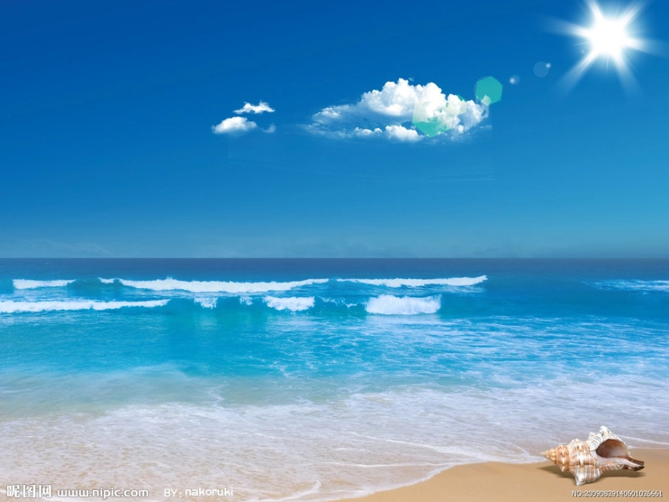 幼儿园中班课件“花花绿绿的贝壳”_第2页