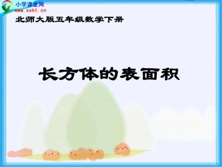 体的表面积》PPT课件之五（北师大版）