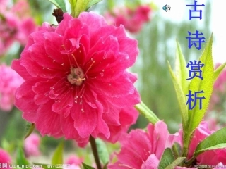 古诗赏析黄鹤楼送孟浩然之广陵