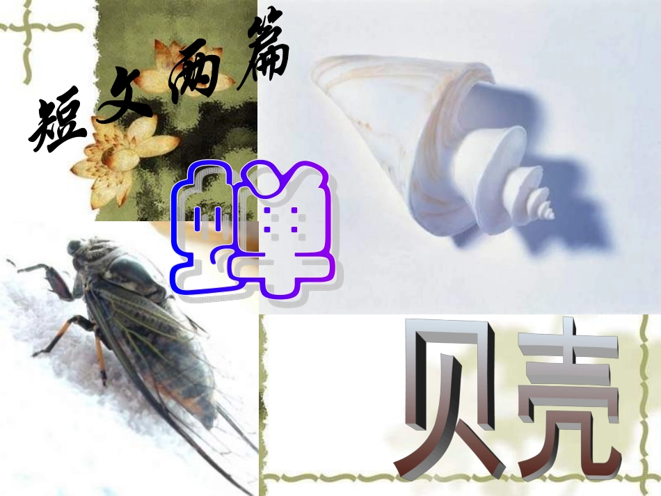 短文两篇《蝉》《贝壳》_第2页