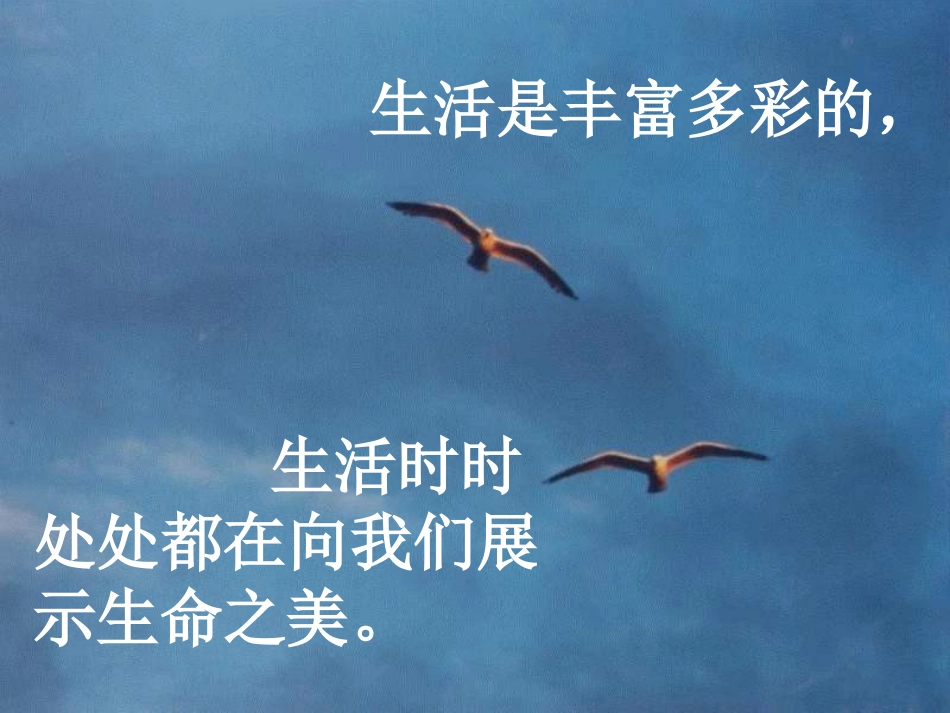 八年级语文海燕定稿_第1页