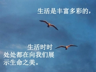 八年级语文海燕定稿