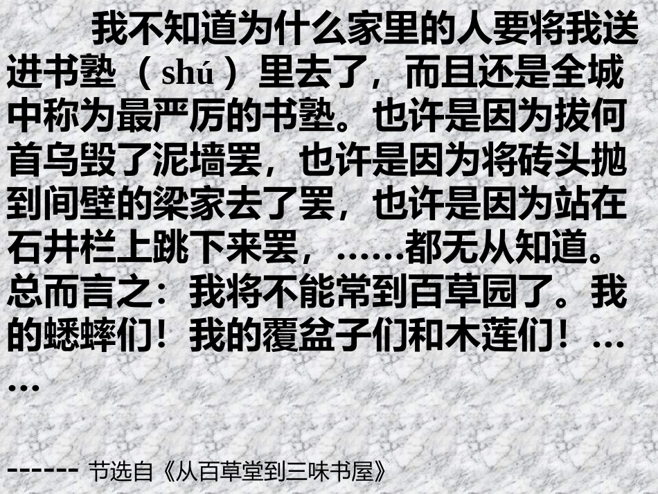 课内阅读课外教《走进鲁迅》课件_第3页