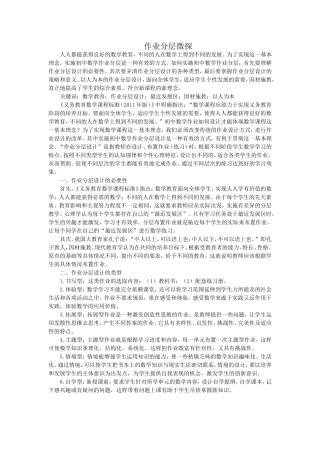 作业分层微探