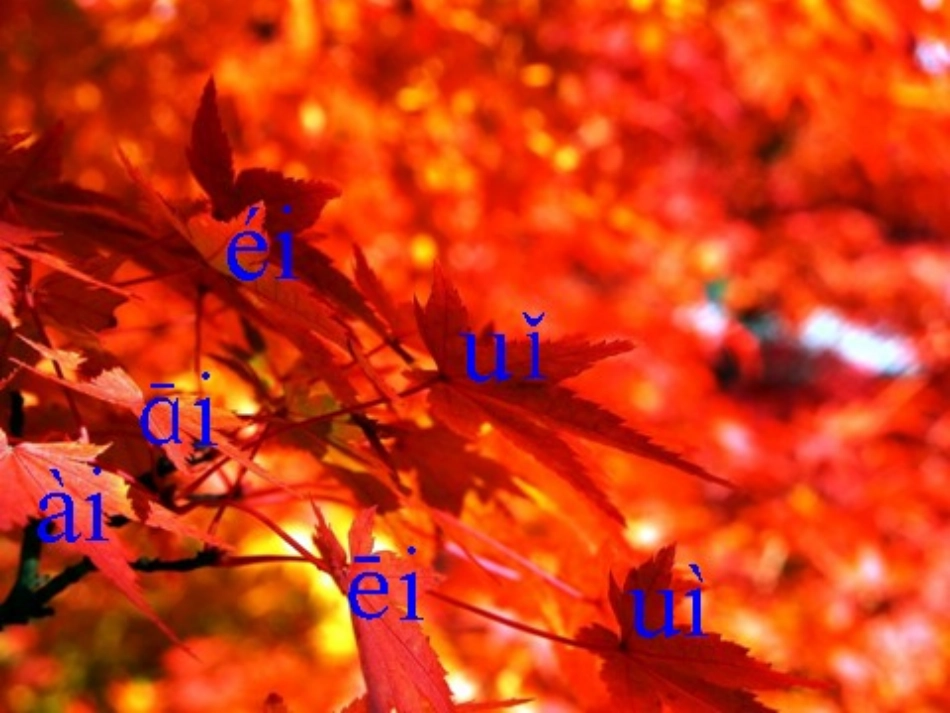 《ie》课件_第3页