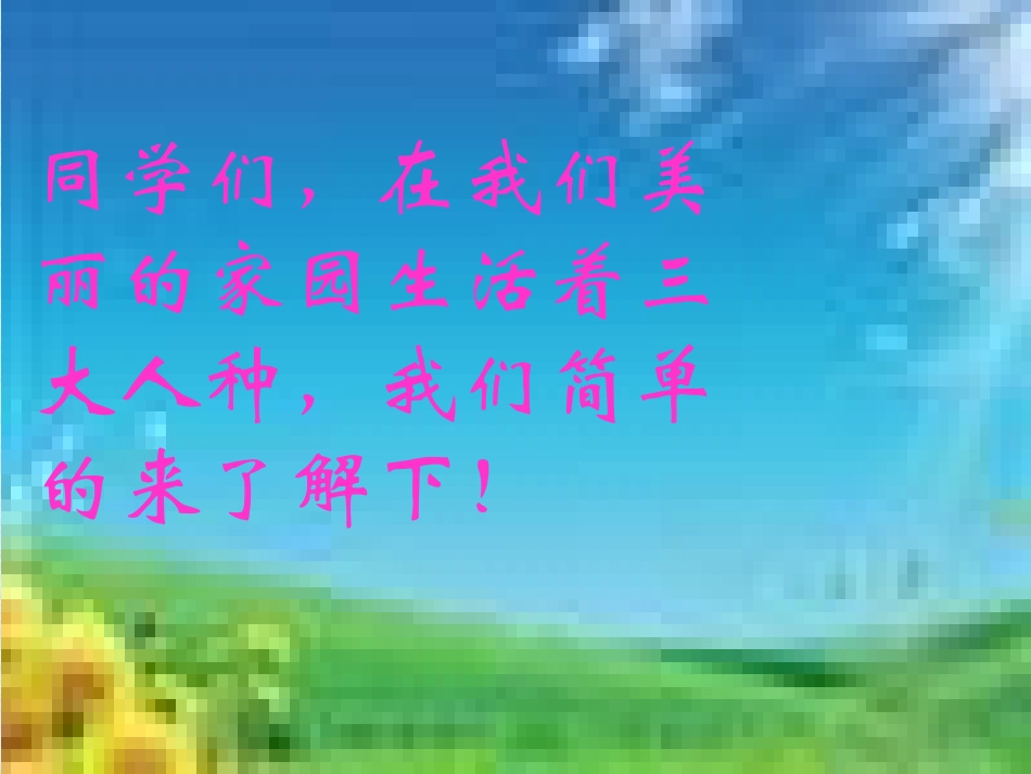 最美的花束课件_第1页