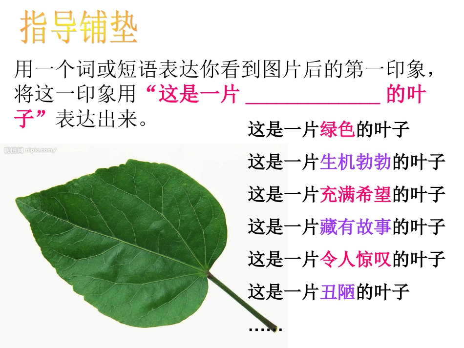 修改润色，妙笔生花_第3页