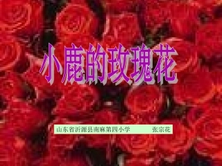《小鹿的玫瑰花》课件(1)_1