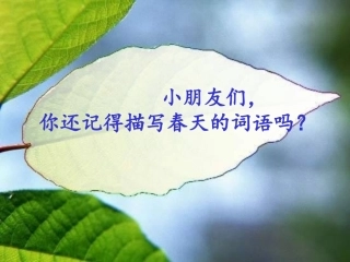 春雨的色彩第一课时