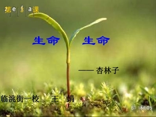 四年级语文下册第五组19生命生命第一课时课件