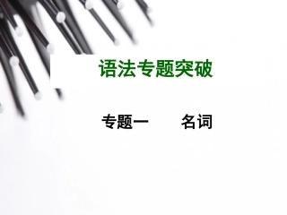 2015中考英语语法专题复习专题一名词