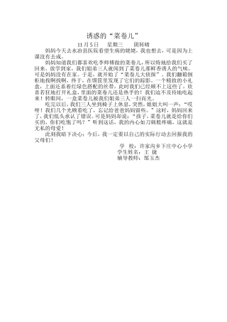 诱惑的“菜卷儿”