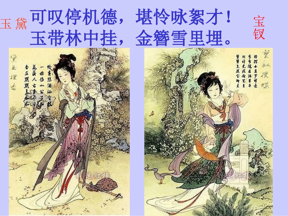 金陵十二钗介绍_第1页