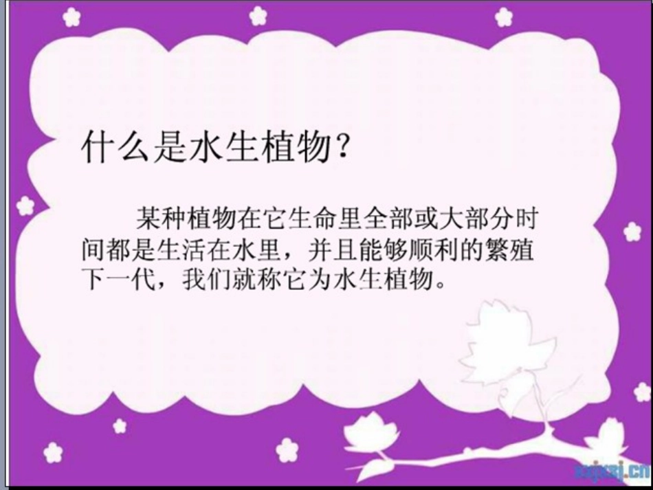 观察水生植物_第2页