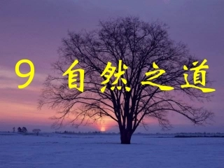 自然之道PPT课件